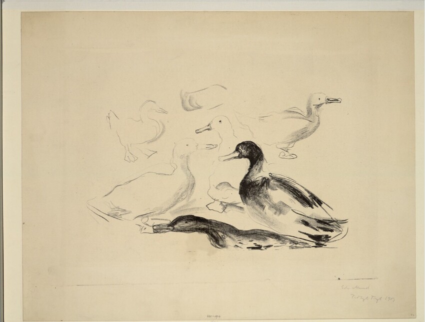 Edvard Munch (Løten bei Hamar 1863 - 1944 Ekely) | Enten | Displayed motifs: Duck, Bird, Swan, Goose, Animal, 