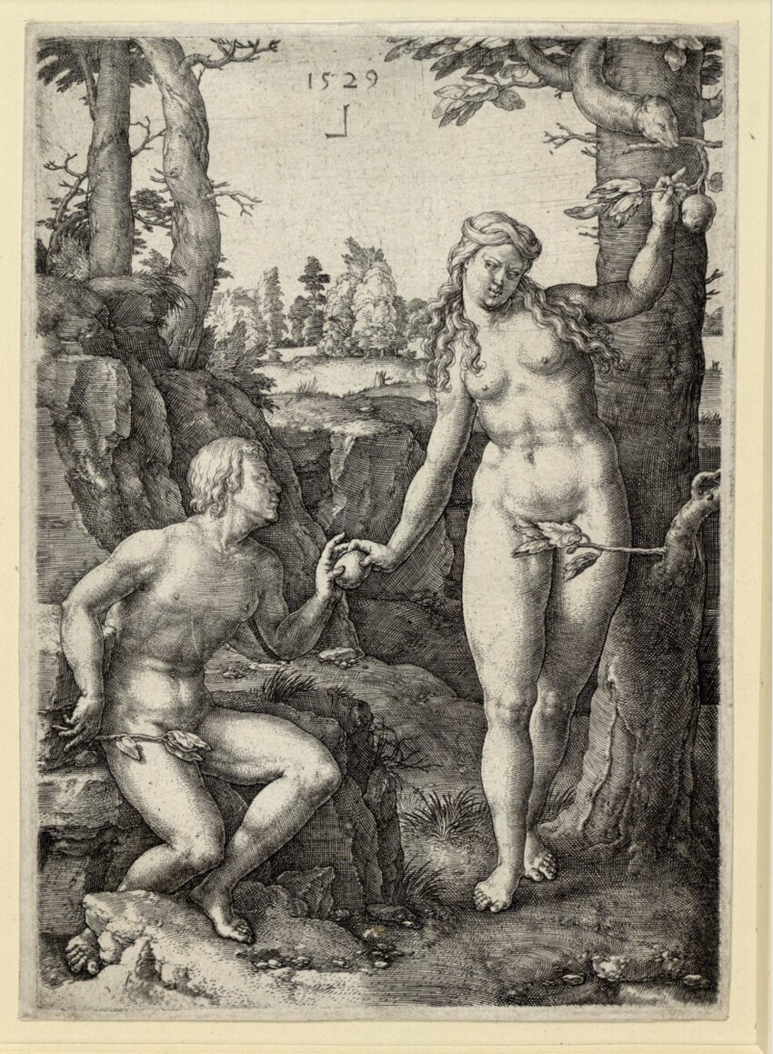 Lucas Hugensz. van Leyden (Leiden 1494 - 1533 Leiden) | Der Sündenfall | Displayed motifs: Man, Woman, Human face, Tree, 
