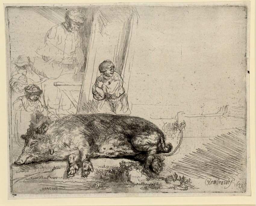 Rembrandt Harmensz. van Rijn (Leiden 1606 - 1669 Amsterdam) | Das Schwein | Displayed motifs: Animal, Clothing, Human face, Pig, Person, Man, Carnivore, 