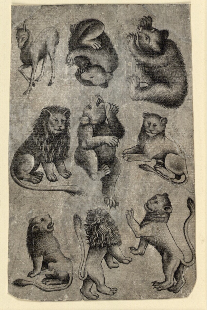 Meister der Spielkarten (tätig um 1430-1450 am Oberrhein) | Raubtier-Neun A | Displayed motifs: Animal, Carnivore, Deer, Lion, Squirrel, Person, Mammal, 