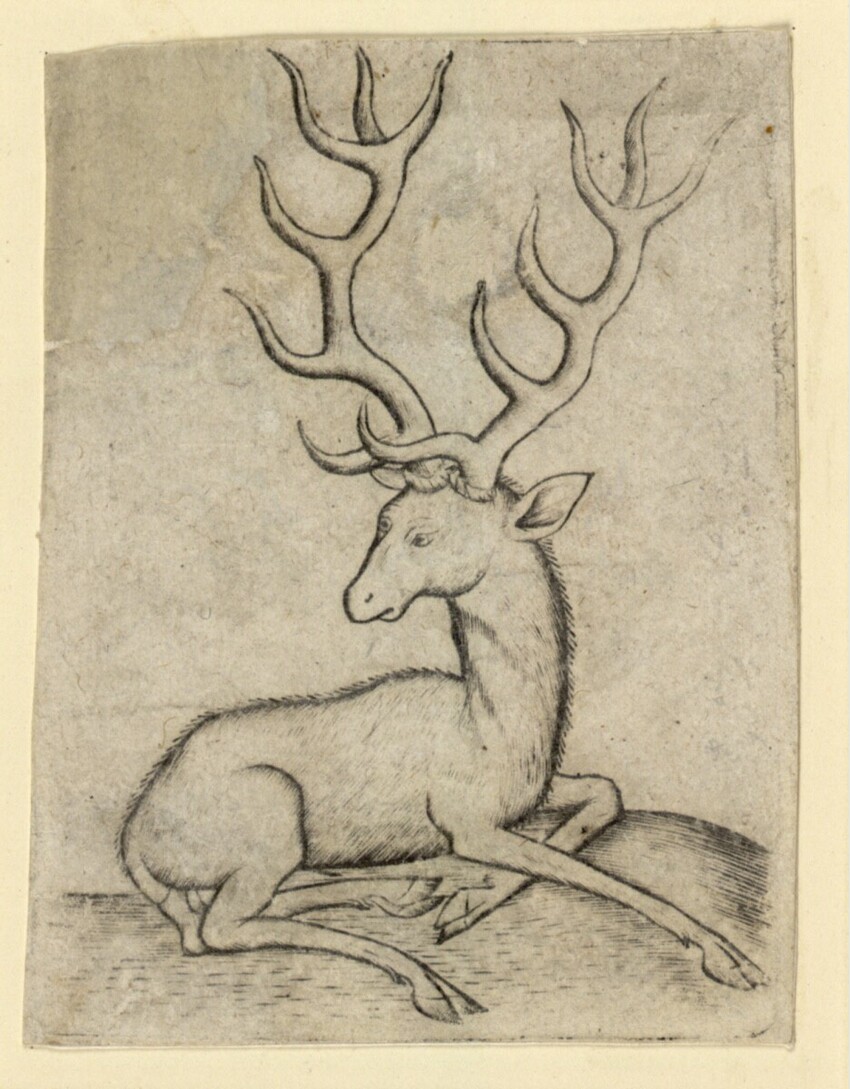 Anonym | Tier-Ass C | Displayed motifs: Deer, Animal, Antelope, 