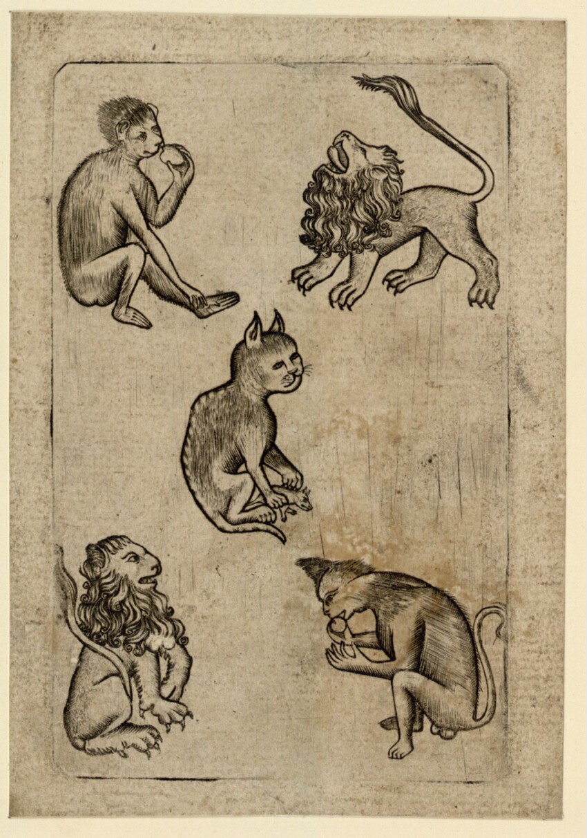 Anonym | Tier-Fünf | Displayed motifs: Animal, Mammal, Cat, Human face, Man, Woman, Footwear, 