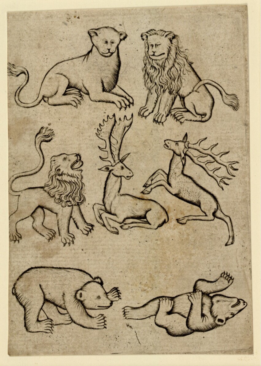 Anonym | Tier-Sieben | Displayed motifs: Animal, Lion, Carnivore, Dog, 