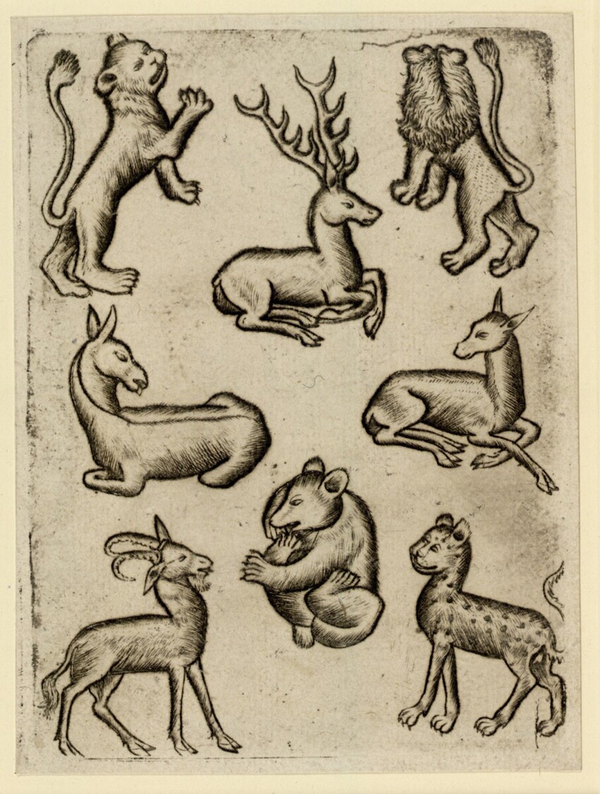 Anonym | Tier-Acht A | Displayed motifs: Animal, Monkey, Deer, Dog, Carnivore, 