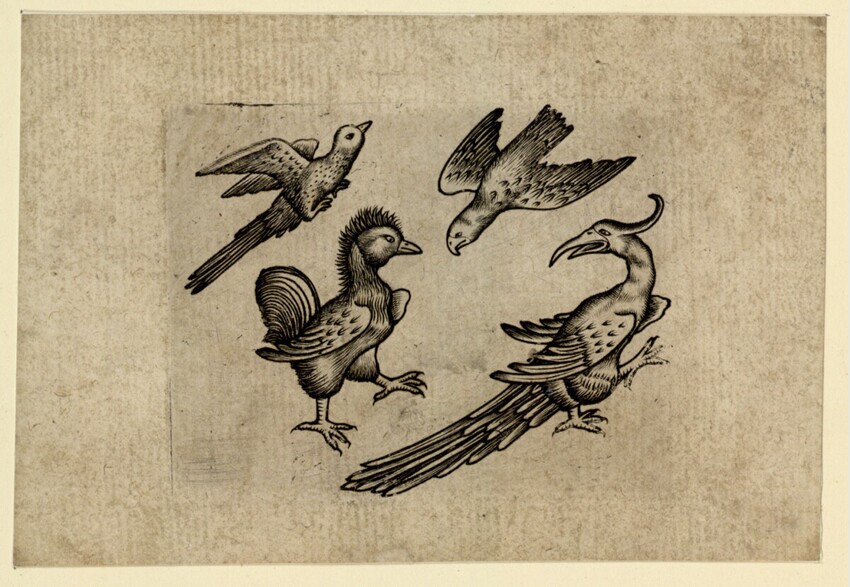 Anonym | Vogel-Vier | Displayed motifs: Bird, Chicken, Falcon, Duck, 