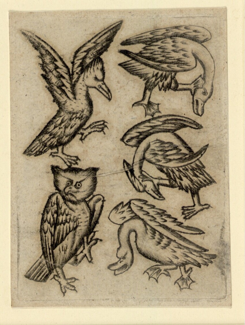 Anonym | Vogel-Fünf B | Displayed motifs: Bird, Owl, 