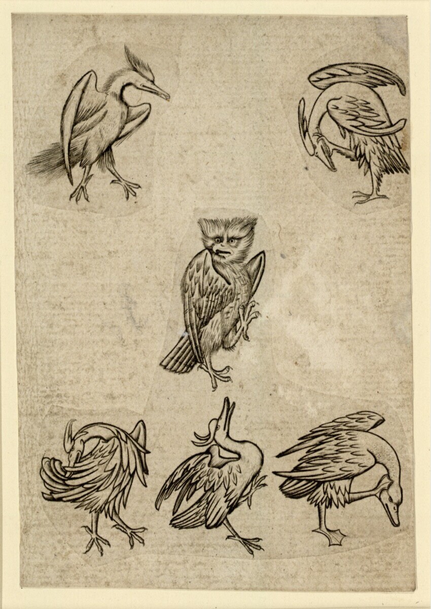 Anonym | Vogel-Sechs | Displayed motifs: Bird, Goose, Owl, Turkey, Duck, Chicken, 