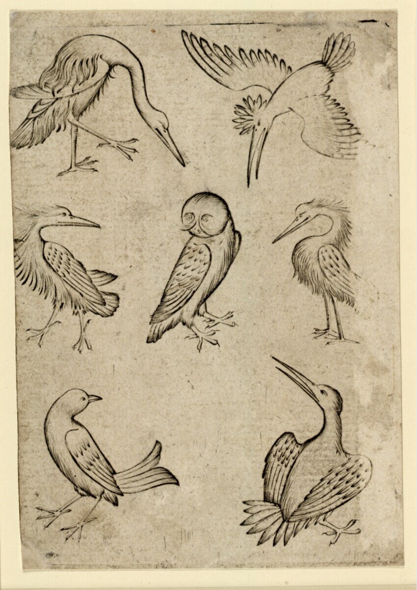 Anonym | Vogel-Sieben | Displayed motifs: Bird, Fish, Animal, Owl, 