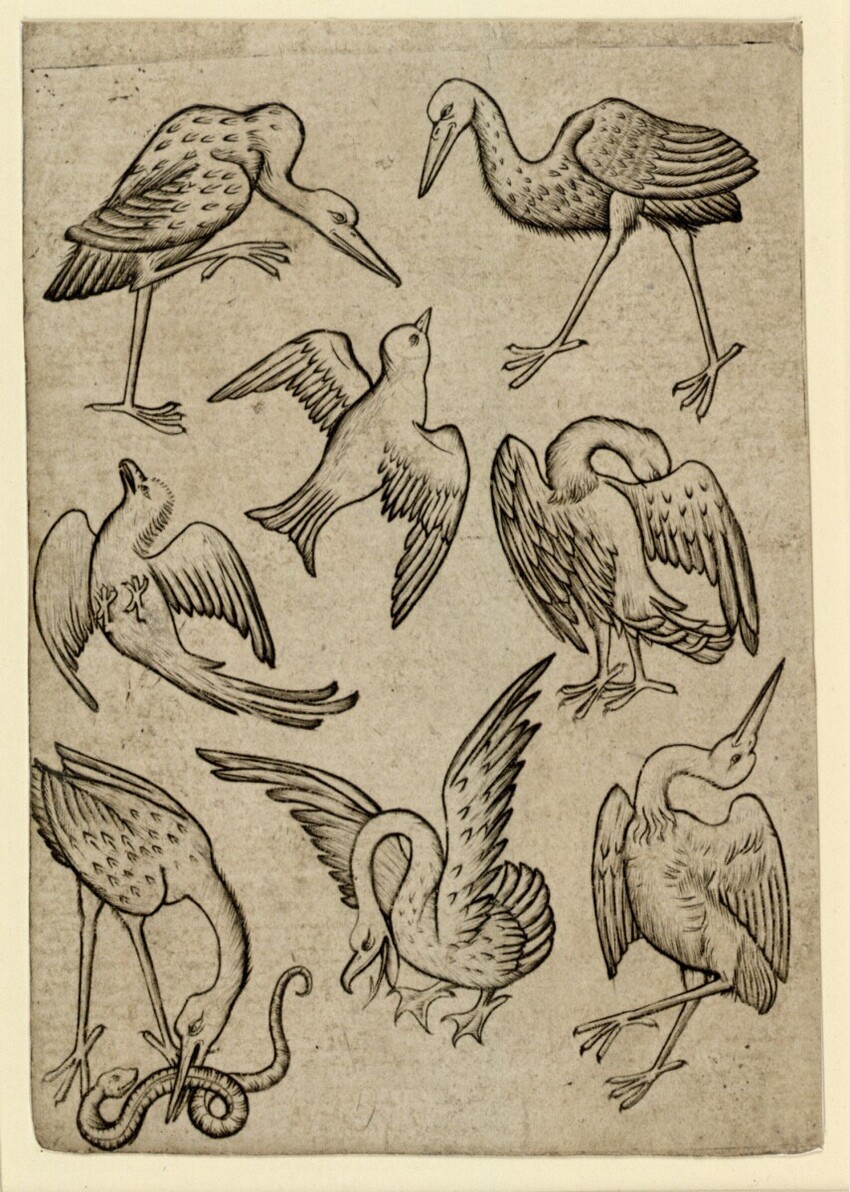 Anonym | Vogel-Acht | Displayed motifs: Bird, Chicken, Animal, Fish, 