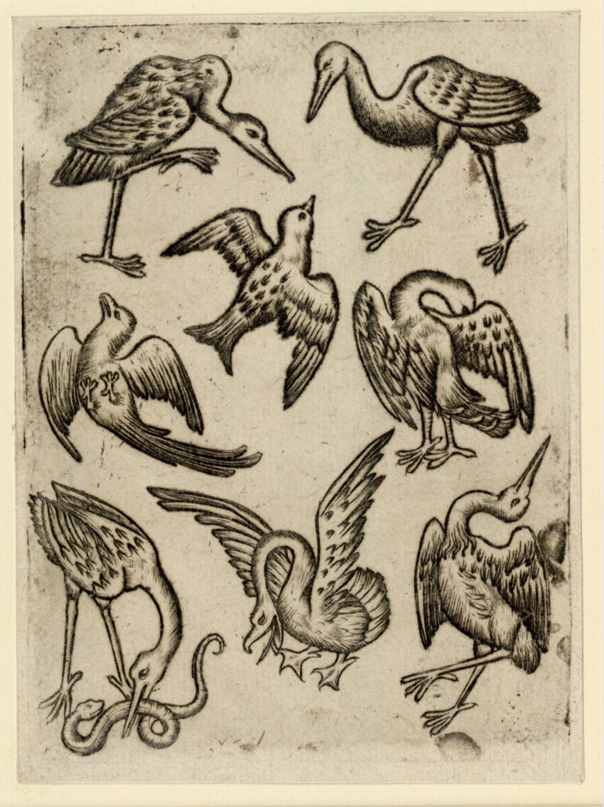 Anonym | Vogel-Acht | Displayed motifs: Bird, Chicken, Animal, Fish, 