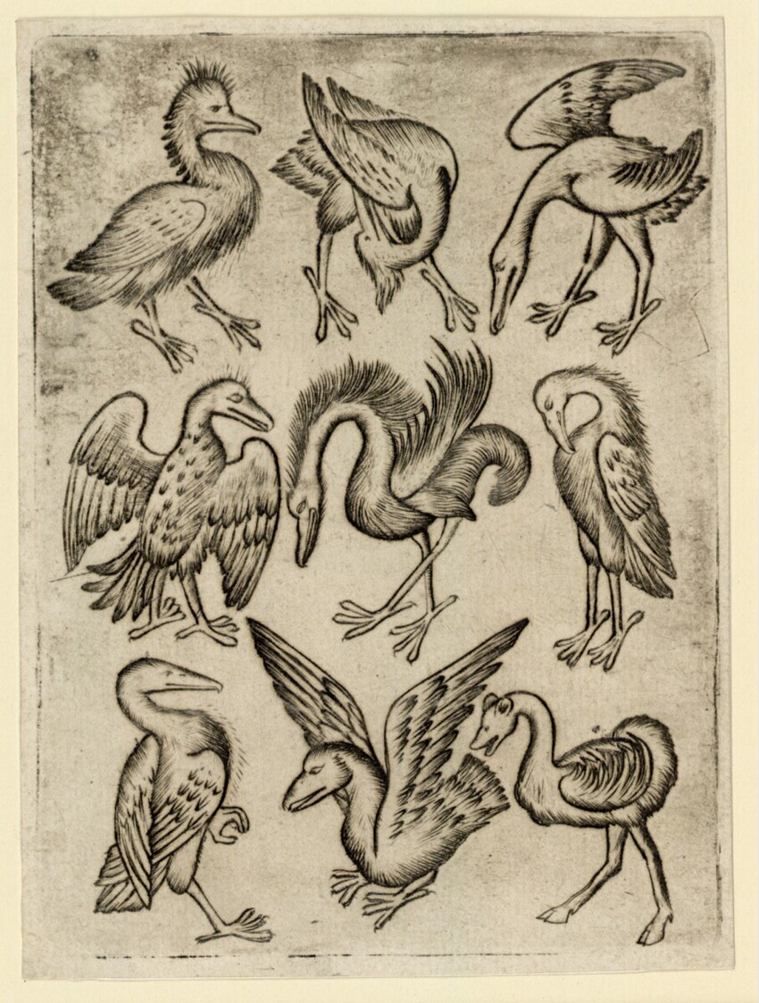 Anonym | Vogel-Neun A | Displayed motifs: Bird, Duck, Goose, Animal, 