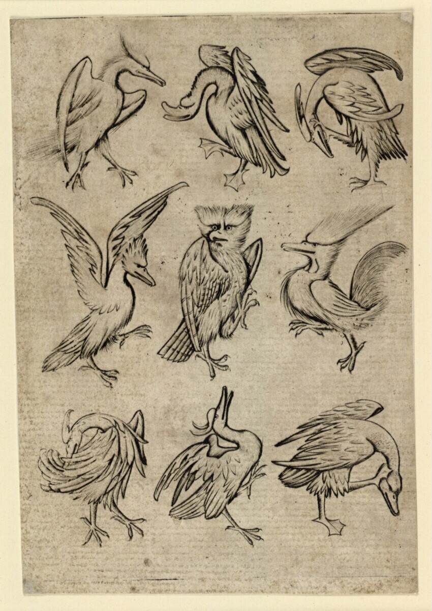 Anonym | Vogel-Neun B | Displayed motifs: Bird, Owl, Goose, Chicken, Animal, Duck, 