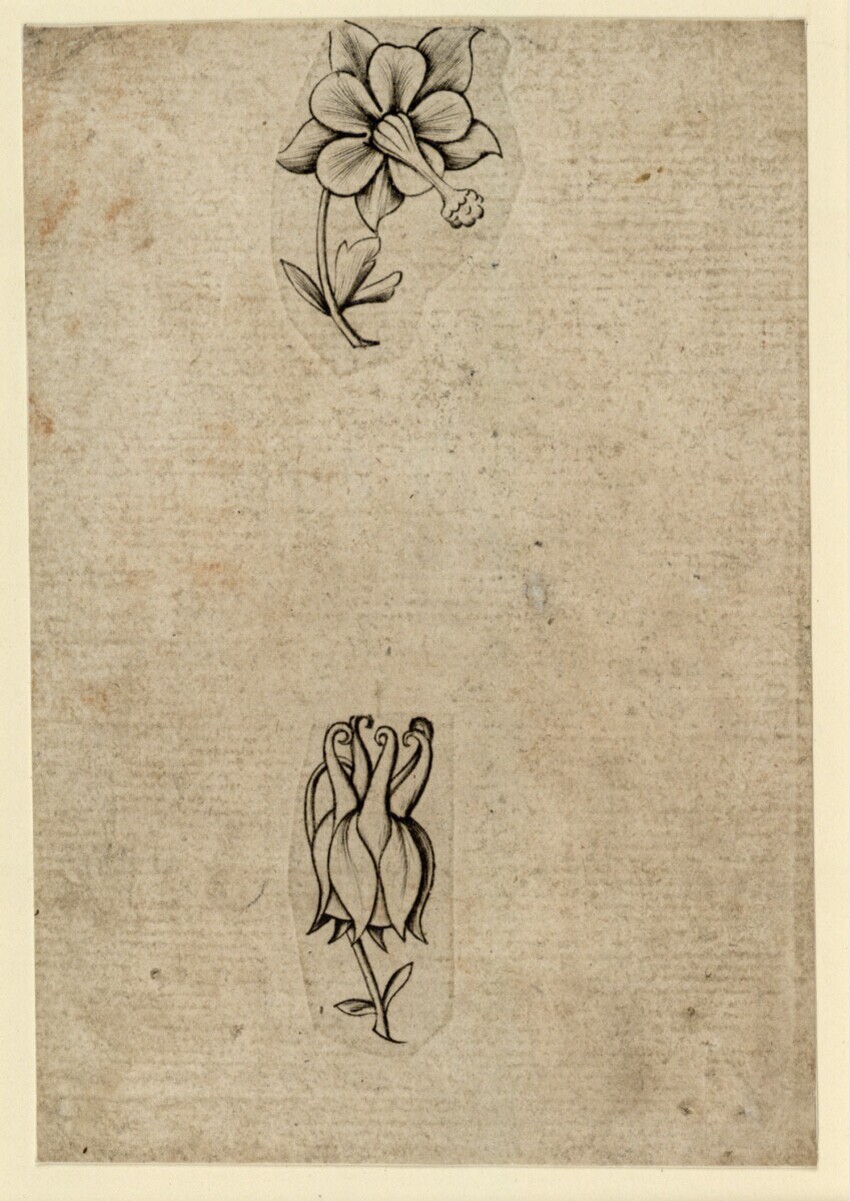 Anonym | Blumen-Zwei | Displayed motifs: Flower, Animal, Plant, 