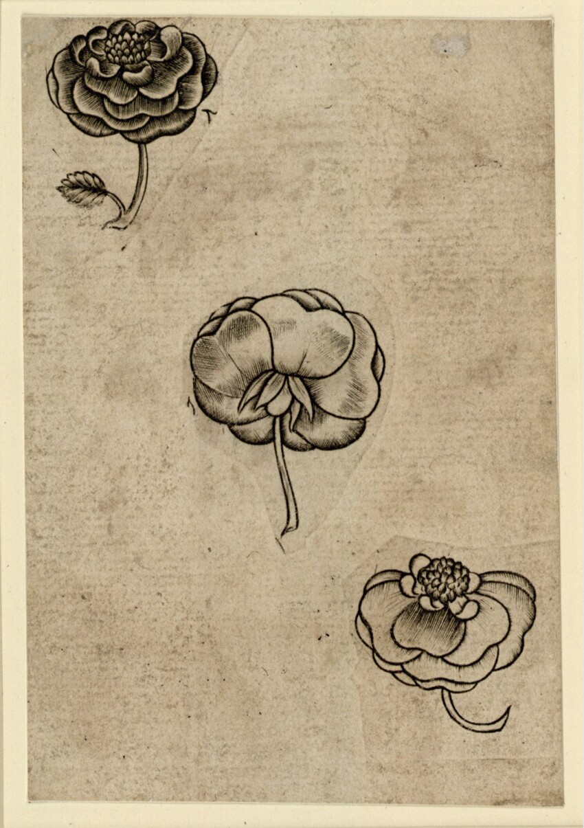 Anonym | Blumen-Drei | Displayed motifs: Mushroom, Flower, 