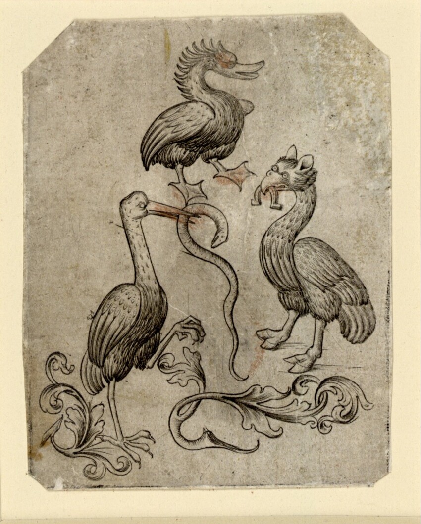 Meister der Berliner Passion (Niederrhein, drittes Viertel des 15. Jahrhunderts) | Schwan, Storch und Strauß | Displayed motifs: Bird, Duck, 