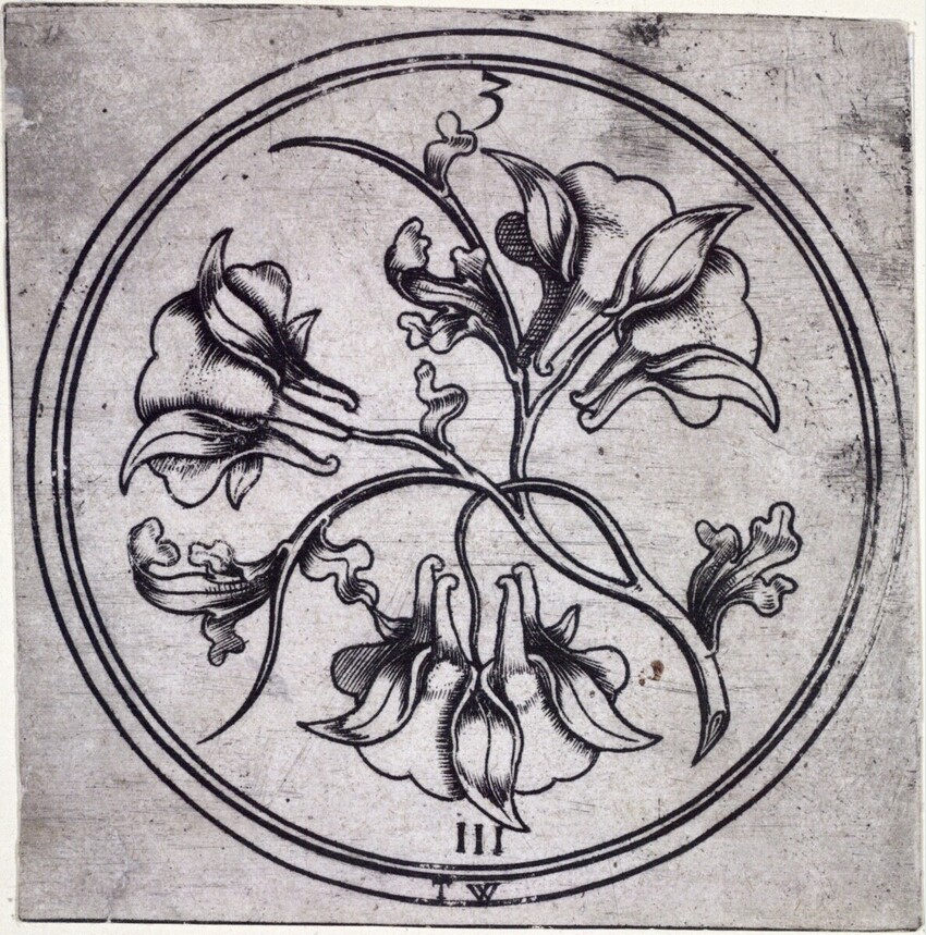 Telman von Wesel (tätig um 1490-1510 in Wesel am Niederrhein) | Akelei-Drei | Displayed motifs: Flower, Tree, Plant, 