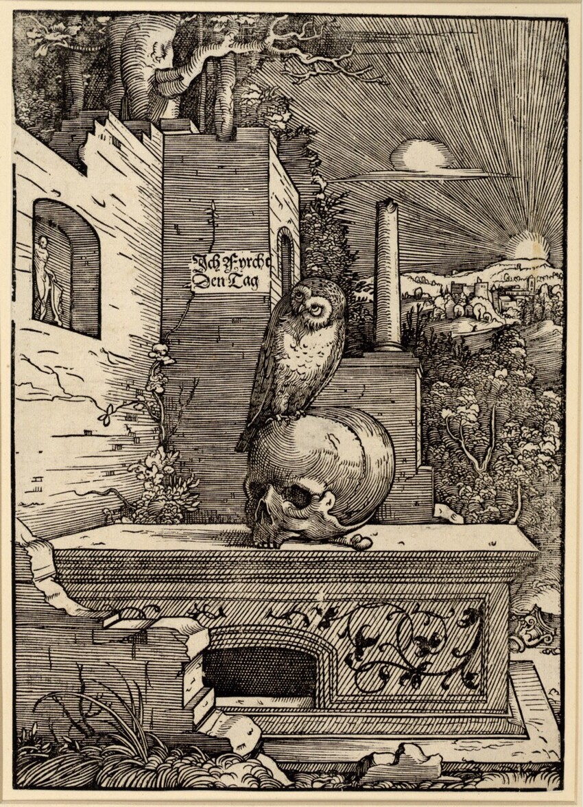 Hans Wechtlin (Straßburg um 1480/85 - 1520 tätig) | Die Eule | Displayed motifs: Owl, 