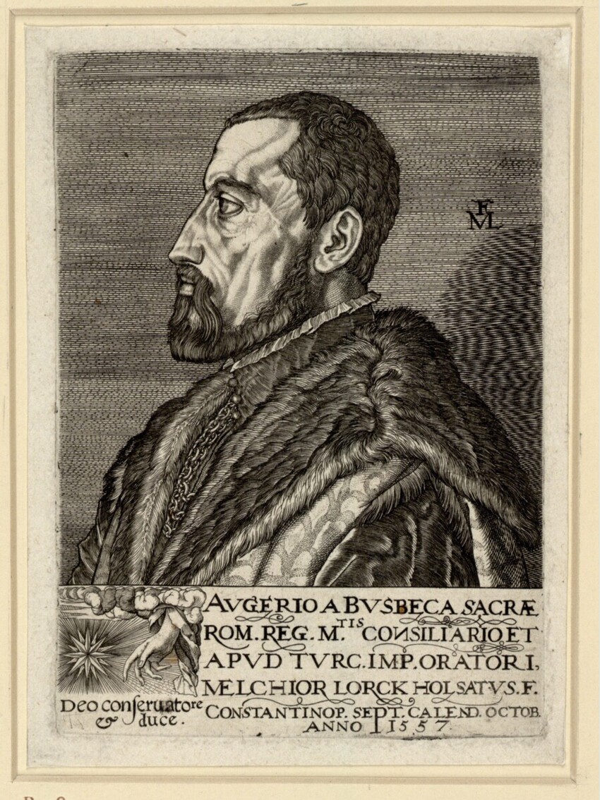 Melchior Lorch (Flensburg um 1527 - nach 1583 Kopenhagen, Rom oder Hamburg) | Ogier Ghiselin de Busbec | Displayed motifs: Man, Human face, Clothing, Human hair, 