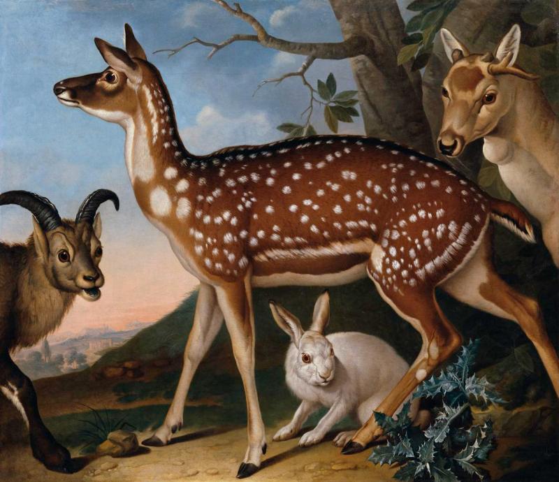 Philipp Ferdinand de Hamilton | Damwild, Steinbock und Hase | Displayed motifs: Deer, Goat, Rabbit, Animal, Antelope, Wound, Giraffe, 