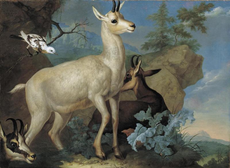 Philipp Ferdinand de Hamilton | Drei Gemsen und eine Amsel | Displayed motifs: White dove, Bird, Deer, Tree, Angel, Animal, Plant, 