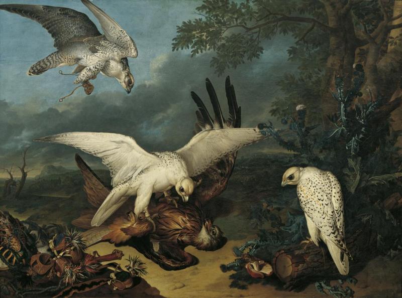 Philipp Ferdinand de Hamilton | Ein roter Milan, von isländischen Falken besiegt | Displayed motifs: Angel, Bird, Animal, Tree, White dove, Owl, Thorn crown, 