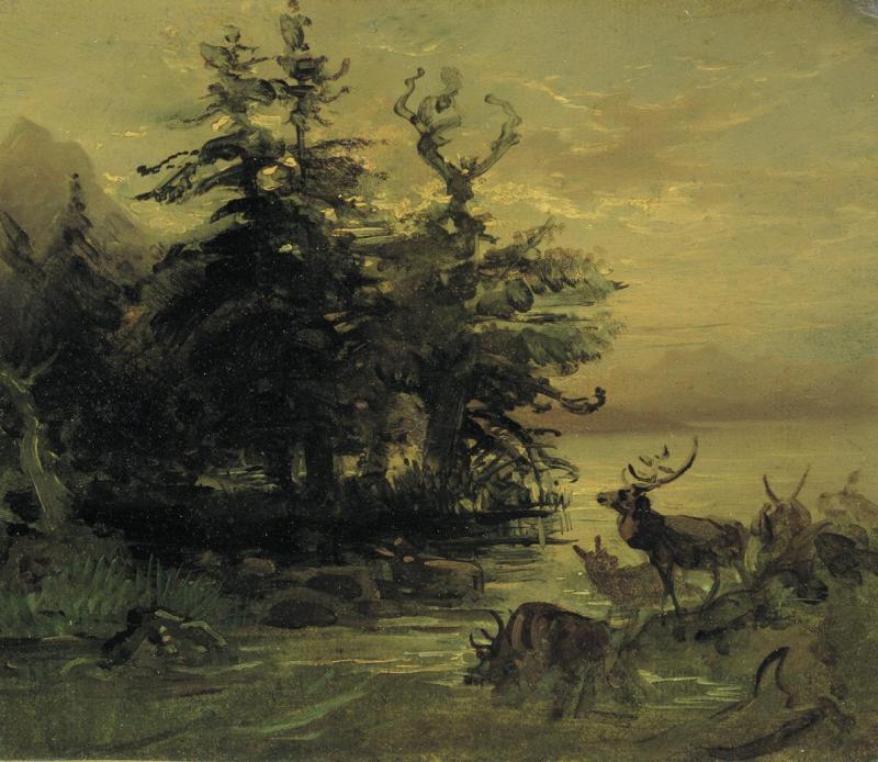 Friedrich August Mathias Gauermann | Suhlende Hirsche am Ufer eines Bergsees | Displayed motifs: Tree, Deer, Animal, 