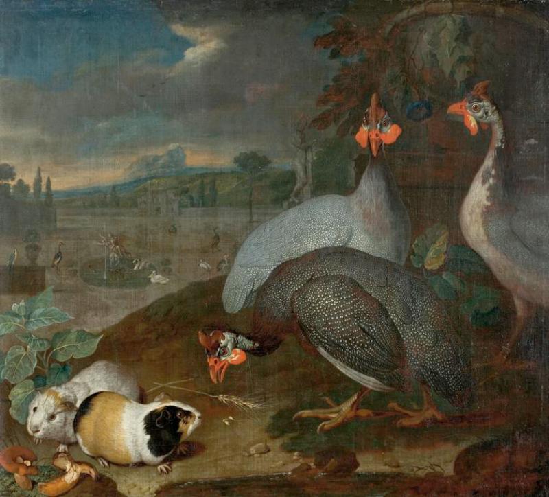 Philipp Ferdinand de Hamilton | Perlhühner mit Meerschweinchen | Displayed motifs: Bird, Chicken, Angel, Putto, Animal, Hamster, Tree, 