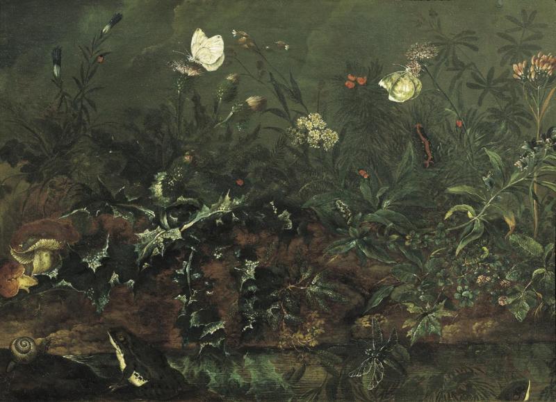 Franz Michael Siegmund von Purgau d. Ä. | Rasenstück mit Distel, Fröschen und Libelle | Displayed motifs: Flower, White dove, Mushroom, Tree, Plant, 