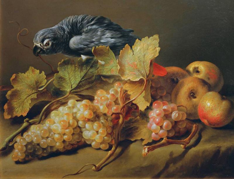 Erasmus von Engert | Stillleben mit Papagei und Trauben | Displayed motifs: Bird, Apple, Plant, White dove, Maple, 