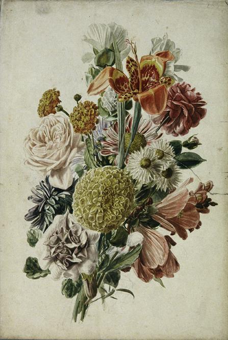 Leopold von Stoll (?) | Blumenstrauß mit Tagetes und Lilie | Displayed motifs: Rose, Flower, Coat of arms, 