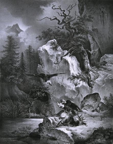 Friedrich August Mathias Gauermann | Geier mit totem Hirsch | Displayed motifs: White dove, Tree, Bird, Animal, 