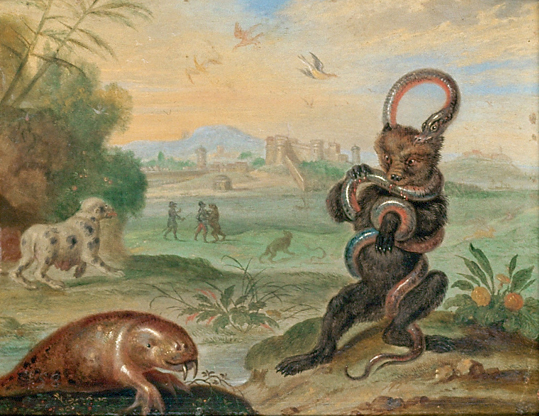 Ferdinand van Kessel | Ansichten aus den vier Weltteilen mit Szenen von Tieren: Puerto Rico | Displayed motifs: White dove, Dog, Putto, Halo, Animal, Angel, Squirrel, 