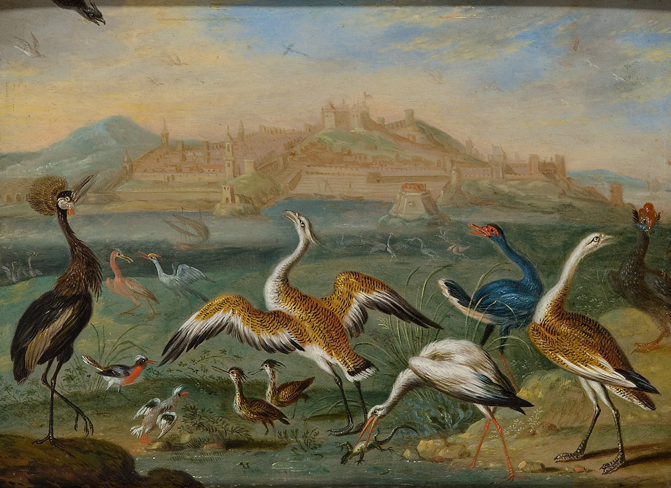 Ferdinand van Kessel | Ansichten aus den vier Weltteilen mit Szenen von Tieren: Tanger | Displayed motifs: White dove, Bird, Angel, Duck, Goose, Wound, 