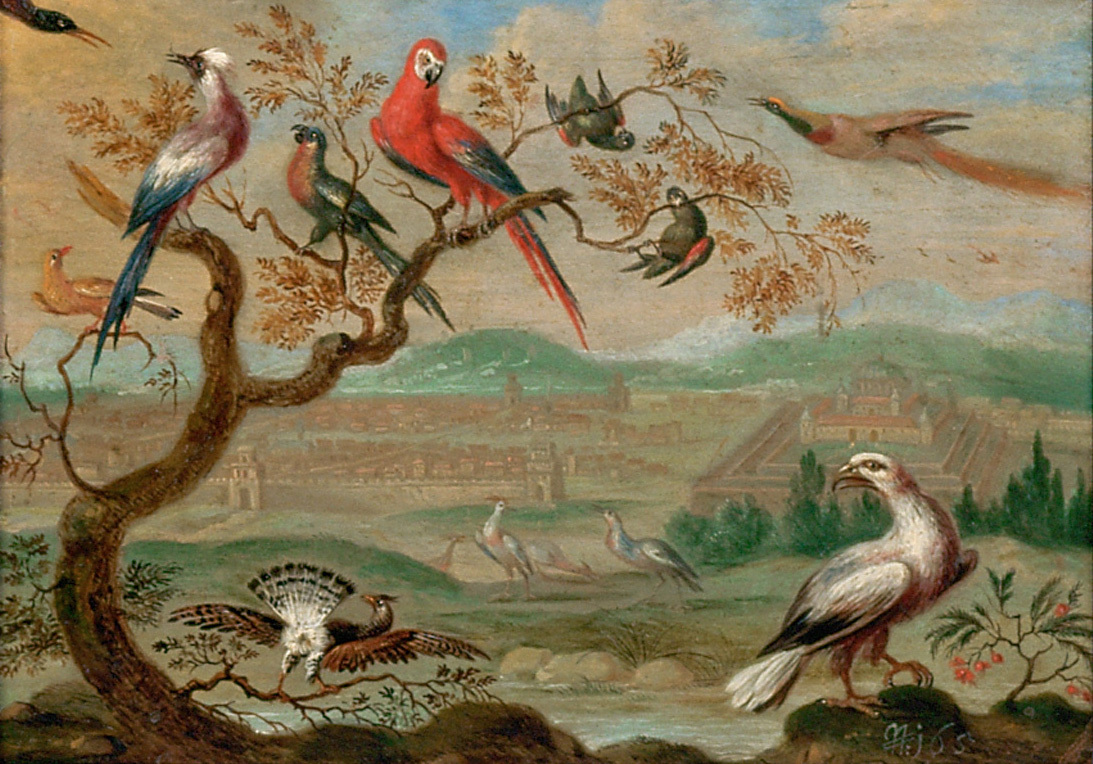 Ferdinand van Kessel | Ansichten aus den vier Weltteilen mit Szenen von Tieren: Cusco | Displayed motifs: White dove, Bird, Parrot, Tree, Fish, 