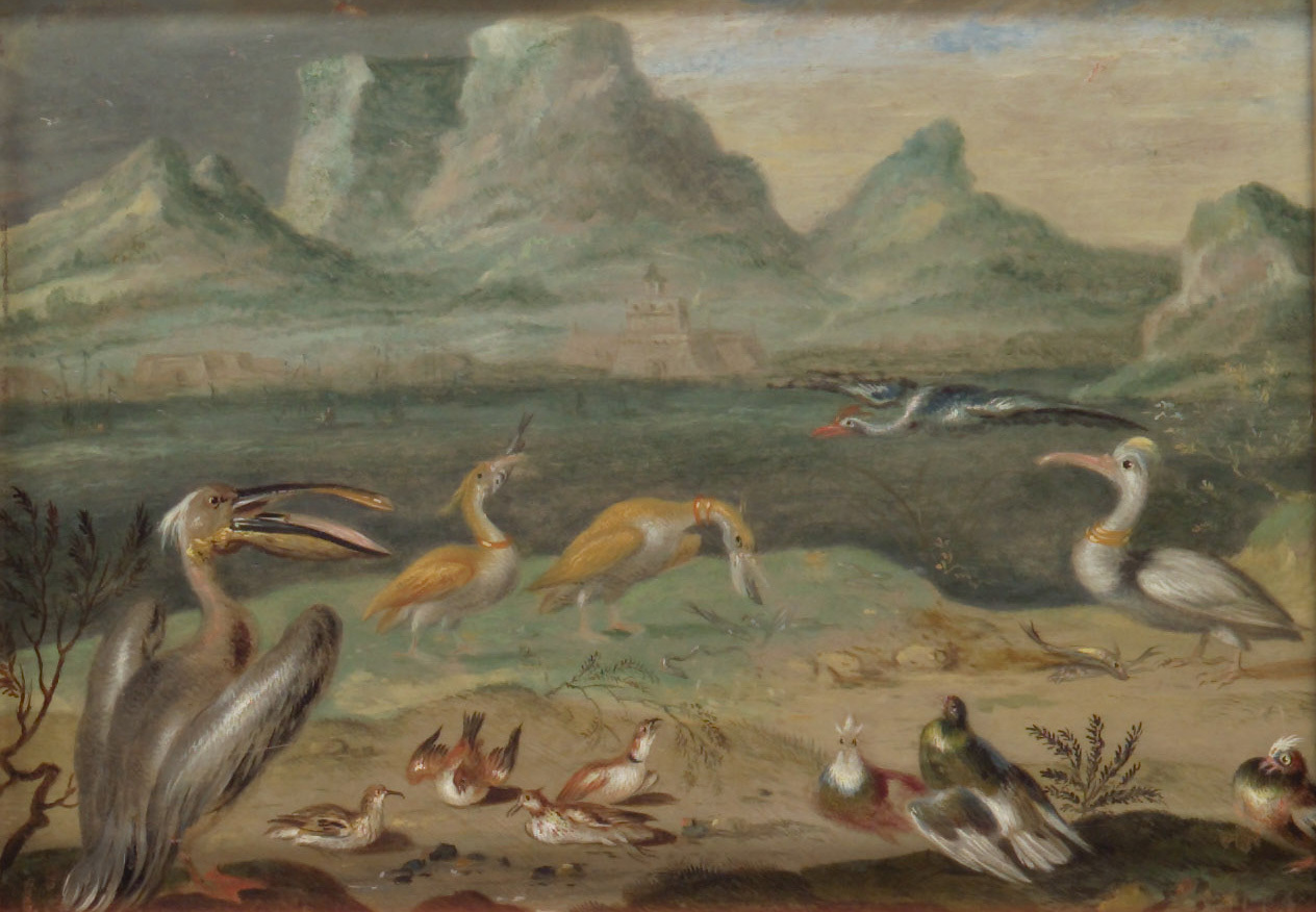 Ferdinand van Kessel | Ansichten aus den vier Weltteilen mit Szenen von Tieren: Kap der Guten Hoffnung | Displayed motifs: White dove, Bird, Duck, 