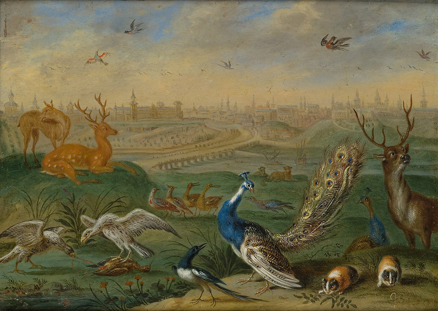 Ferdinand van Kessel | Ansichten aus den vier Weltteilen mit Szenen von Tieren: Madrid | Displayed motifs: Deer, Bird, White dove, Insect, 