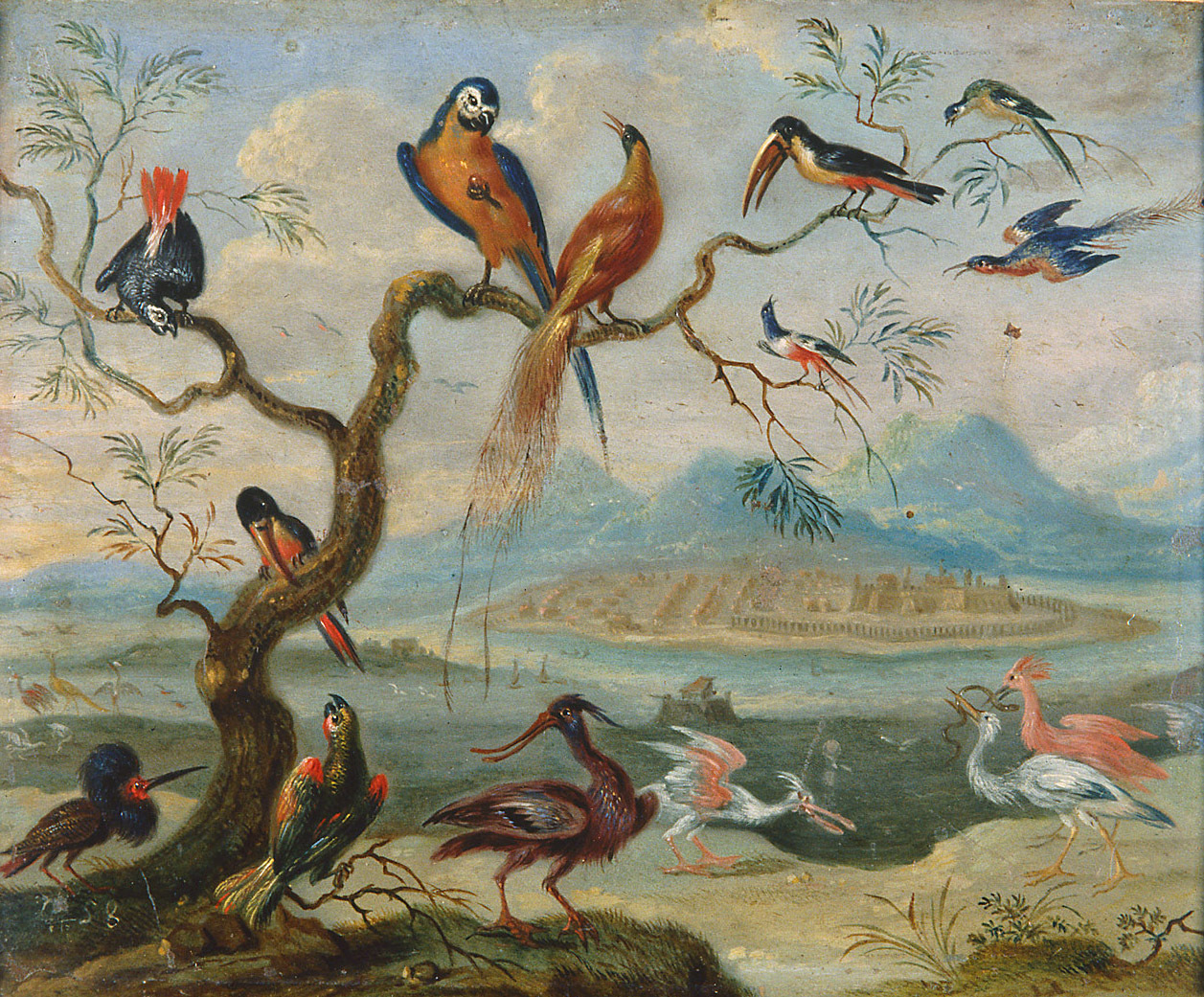 Ferdinand van Kessel | Ansichten aus den vier Weltteilen mit Szenen von Tieren: St. Merryn | Displayed motifs: White dove, Bird, Parrot, Goose, Duck, Angel, 