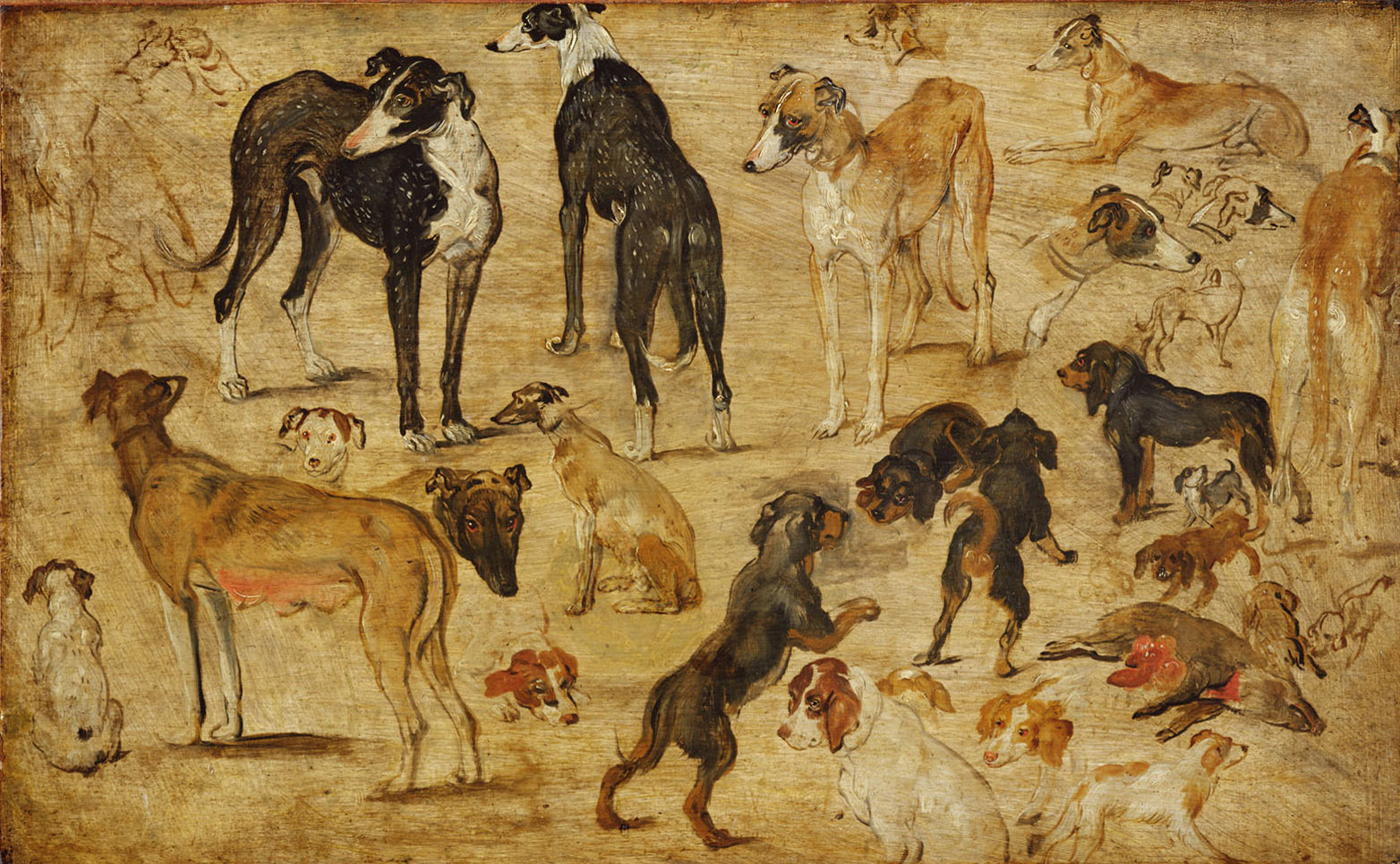 Jan Brueghel d. Ä. | Animal Studies (Donkey, Cats, Monkeys, Dogs) | Displayed motifs: Dog, Veil, Angel, Cattle, Horse, Animal, Chicken, 