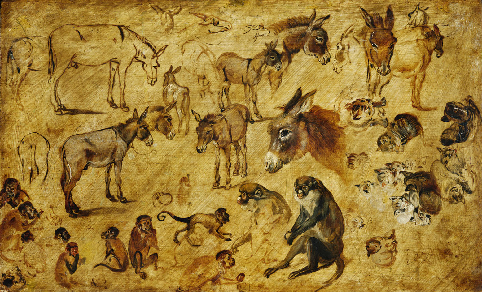 Jan Brueghel d. Ä. | Animal Studies (Donkey, Cats, Monkeys, Dogs) | Displayed motifs: Monkey, Deer, Horse, Person, Animal, Antelope, Putto, 