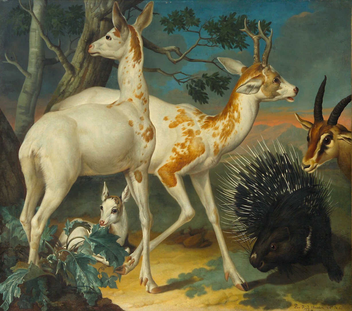 Philipp Ferdinand de Hamilton | Weiße gefleckte Rehe und ein Stachelschwein | Displayed motifs: Antelope, Deer, Porcupine, Halo, Angel, Hedgehog, Putto, 