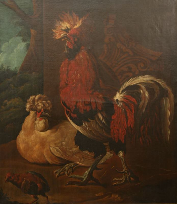 Melchior d` Hondecoeter - následovník | Drůbež | Displayed motifs: Chicken, Animal, 