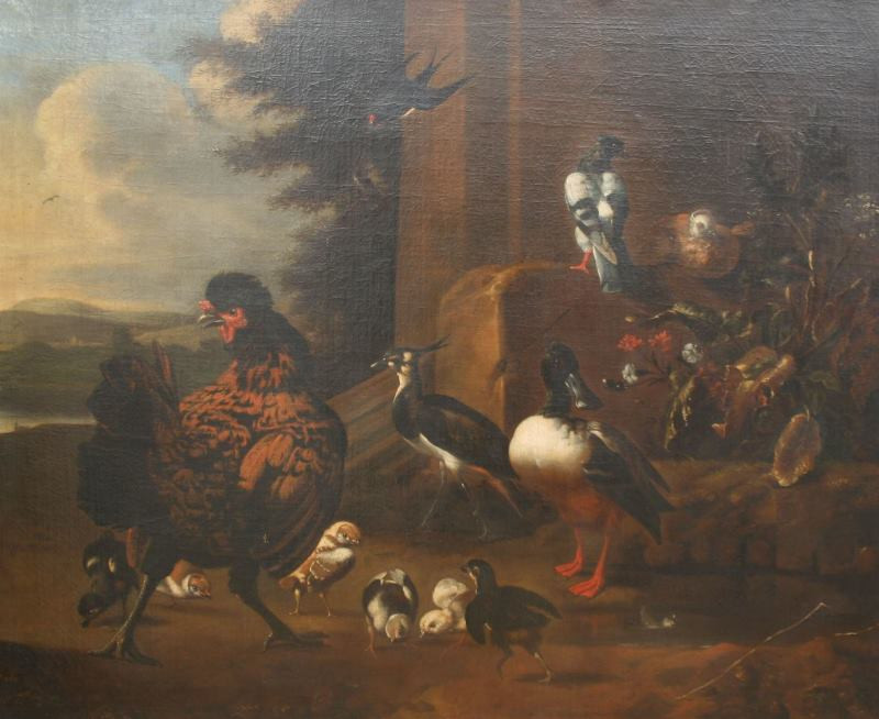 Melchior d` Hondecoeter | Drůbež a ptáci v krajině | Displayed motifs: White dove, Bird, Chicken, Goose, Duck, Animal, Mammal, 