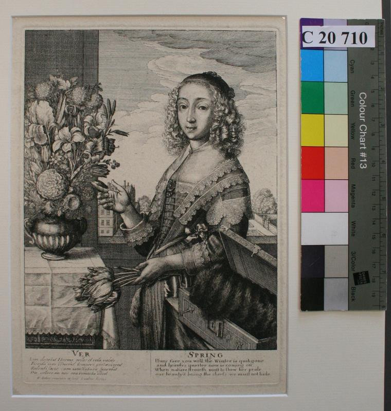 Václav (Wenceslaus) Hollar | Ver - Spring | Displayed motifs: Clothing, Woman, Coat of arms, Human face, Person, Flowerpot, 