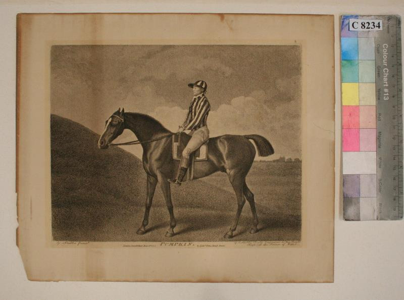 George Townly Stubbs | Pumpkin | Displayed motifs: Horse, Person, Coat of arms, 