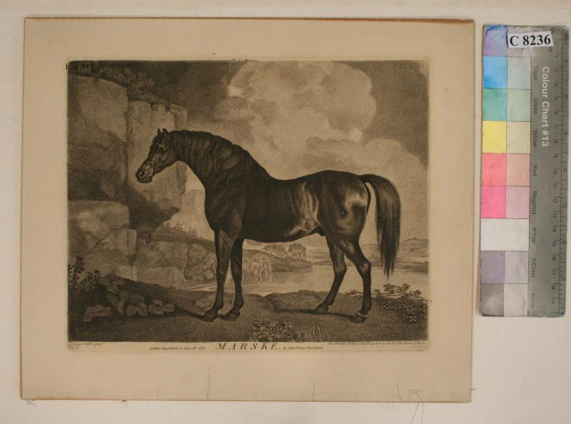 George Townly Stubbs | Marske | Displayed motifs: Horse, Coat of arms, Book, 