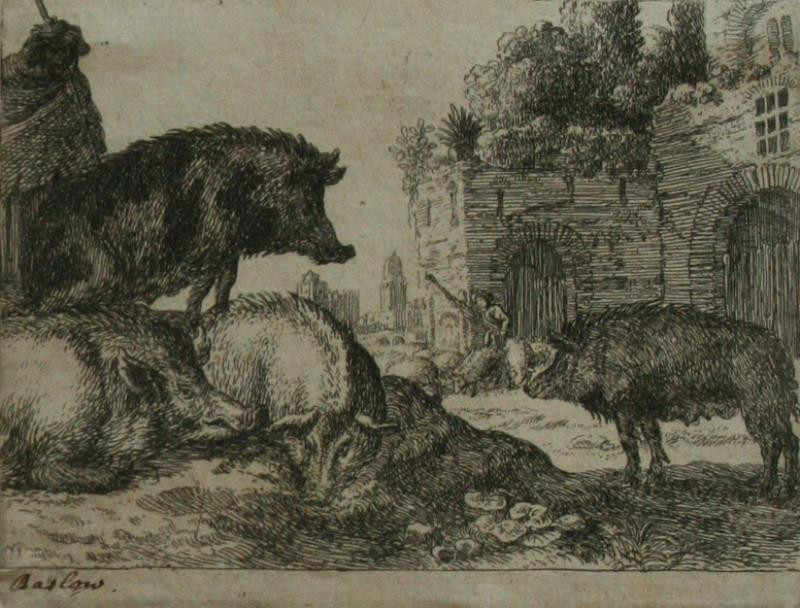 Herman van Swanevelt | Vepři | Displayed motifs: Animal, Halo, Tree, Pig, Ostrich, 