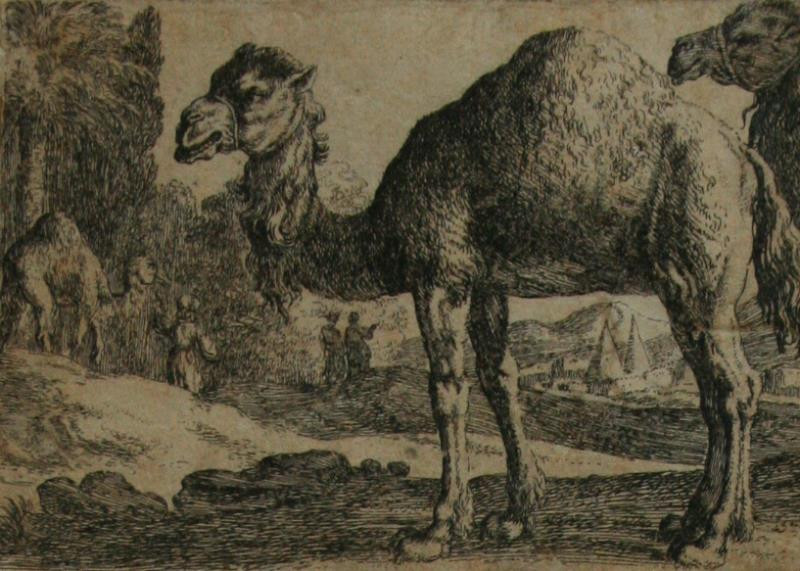 Herman van Swanevelt | Velbloudi | Displayed motifs: Camel, Tree, 