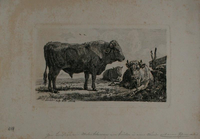Friedrich Simmler | Býk | Displayed motifs: Bull, Cattle, Animal, 