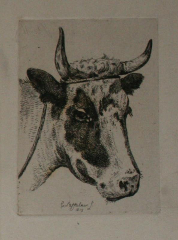 Cornelis Steffelaer | grafika - zvíře | Displayed motifs: Cattle, Putto, Giraffe, 