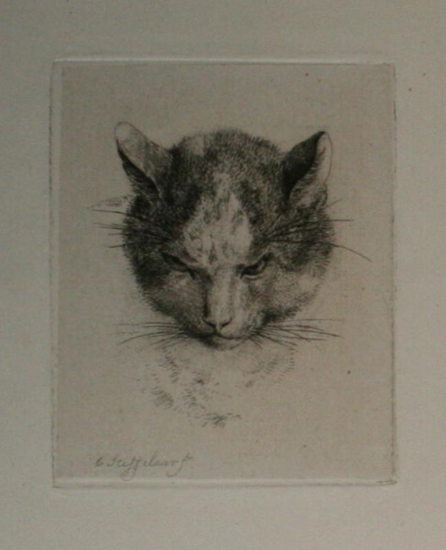 Cornelis Steffelaer | grafika - zvíře | Displayed motifs: Cat, Coat of arms, Angel, 
